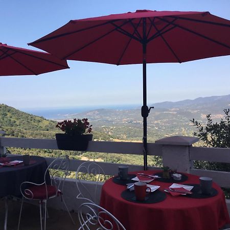 U Riposu Di A Cupulatta Bed and Breakfast Sollacaro Exterior foto
